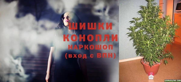 ПСИЛОЦИБИНОВЫЕ ГРИБЫ Навашино