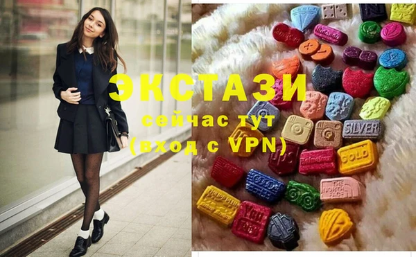 ECSTASY Богородицк