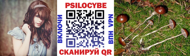 KRAKEN ссылка  Динская  Псилоцибиновые грибы Psilocybine cubensis 